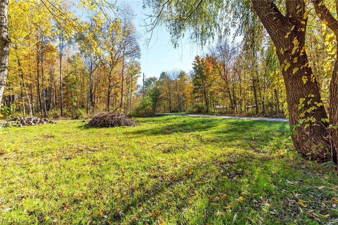 3589 Netcher Road Jefferson, OH 44047 - Photo 10 of 21 Front yard/ street side