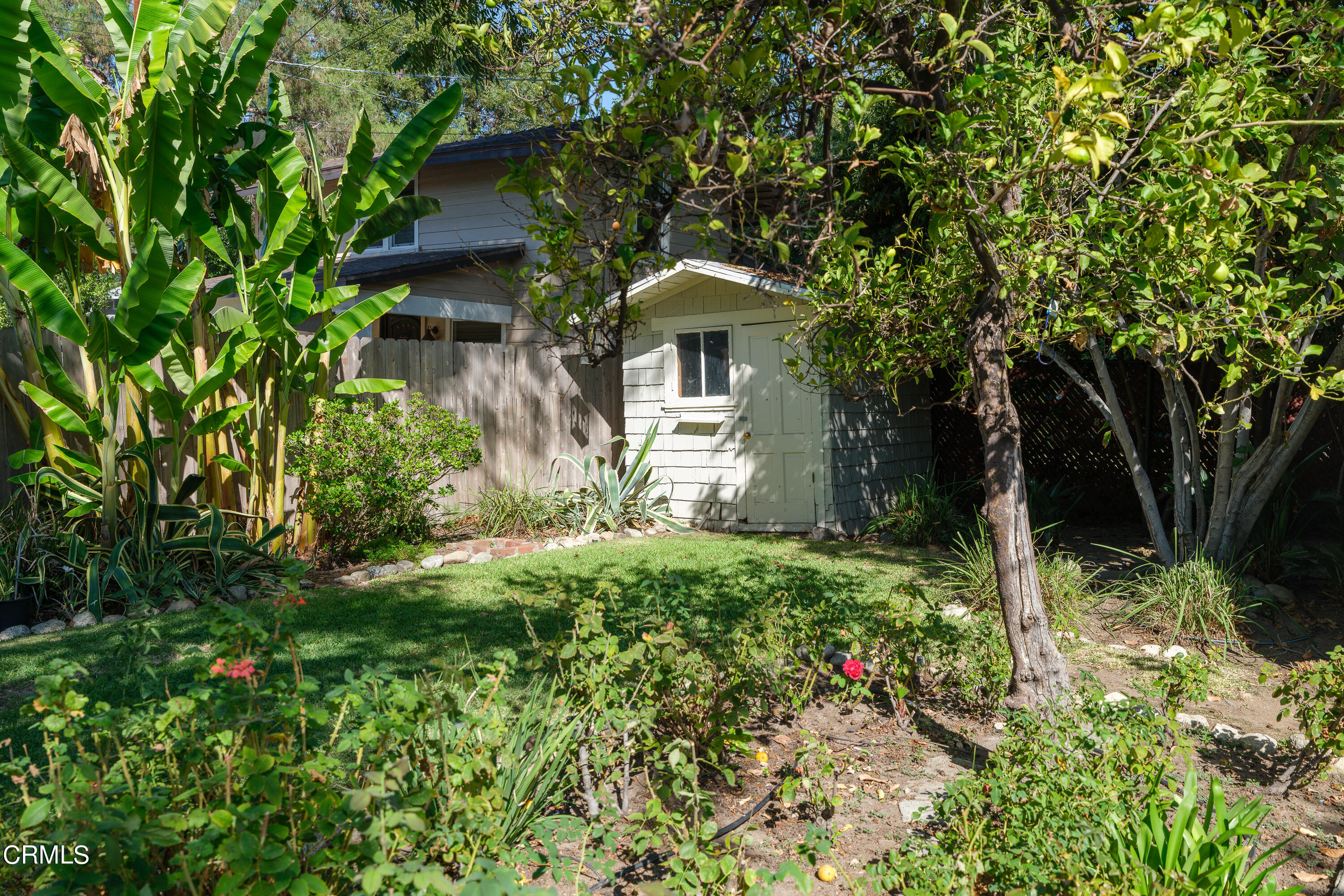 489 Miles Street Pasadena, CA 91106 - Photo 39 of 46 a backyard of a house with lots of green space