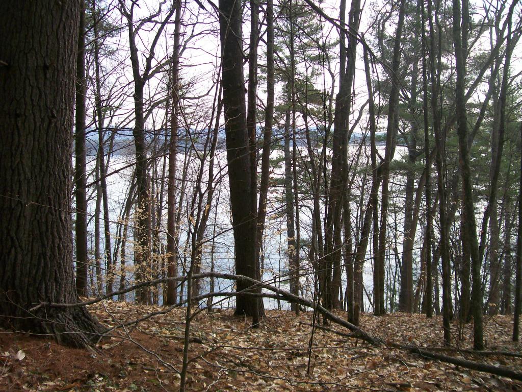 5 North Camp Road Ossipee, NH 03814 - Photo 1 of 7