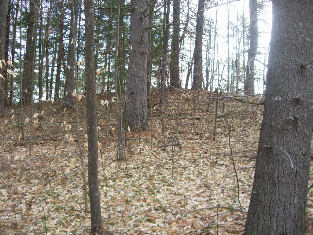 5 North Camp Road Ossipee, NH 03814 - Photo 3 of 7