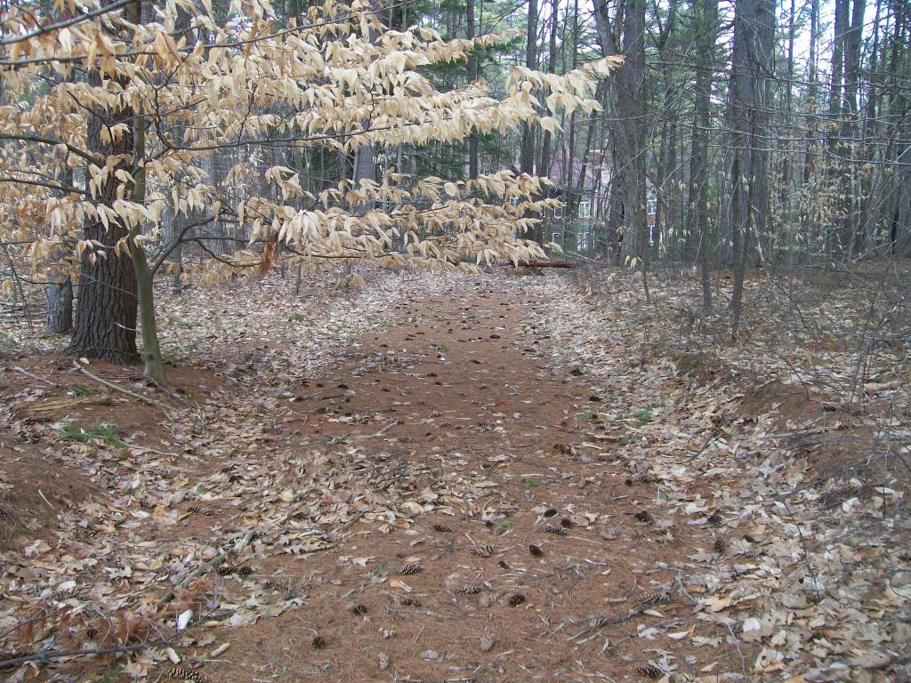 5 North Camp Road Ossipee, NH 03814 - Photo 4 of 7