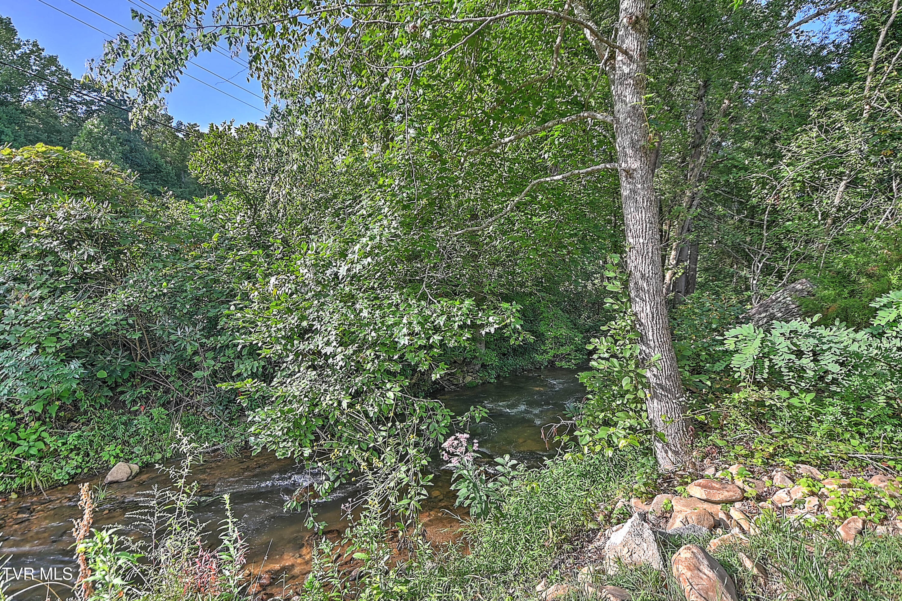 5322 Greene Mountain Road Greeneville, TN 37743 - Photo 53 of 85 5322 Greene Mtn GL-55