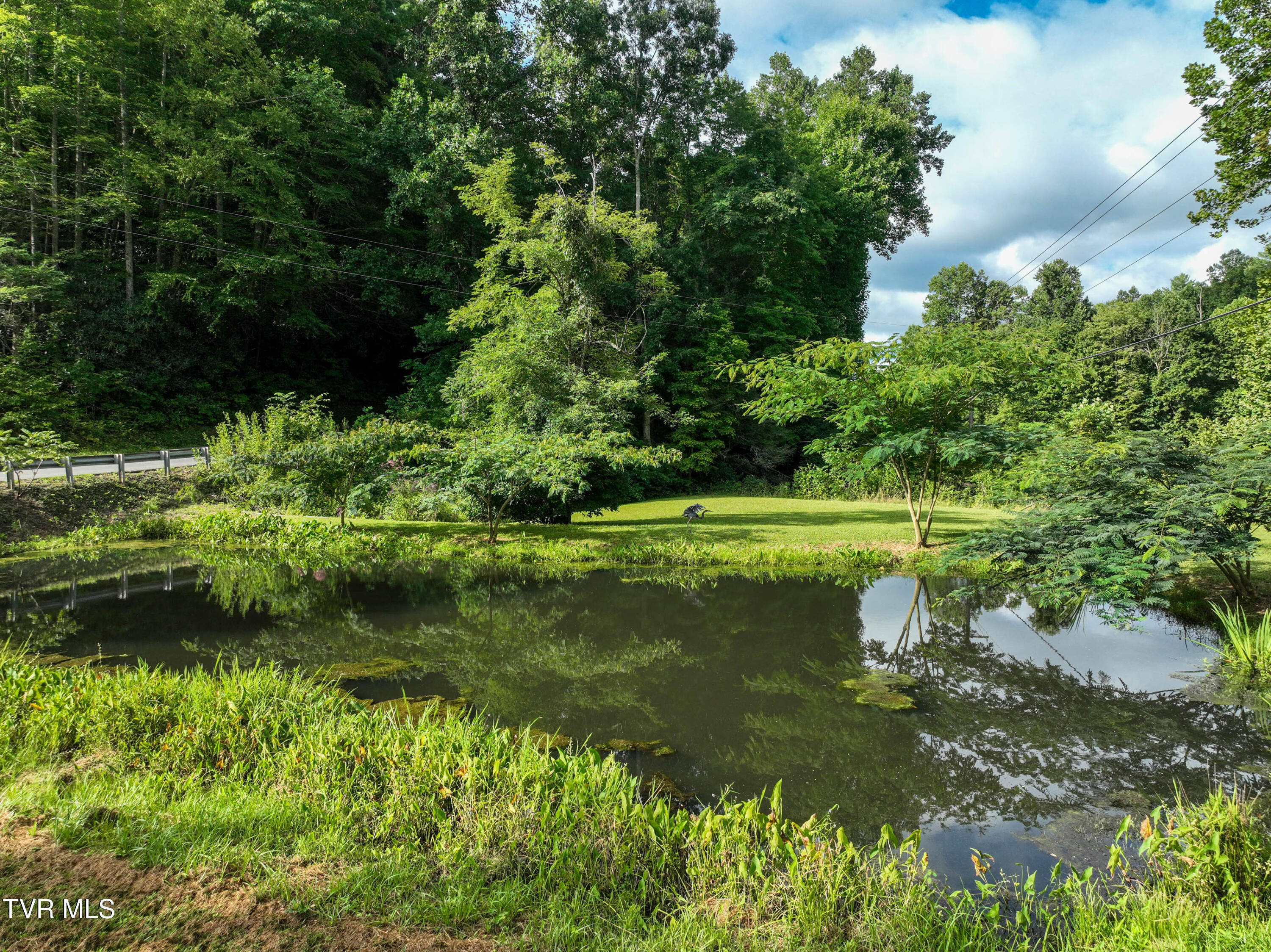 5322 Greene Mountain Road Greeneville, TN 37743 - Photo 66 of 85 5322 Greene Mtn Rd Drone LANDERS-9