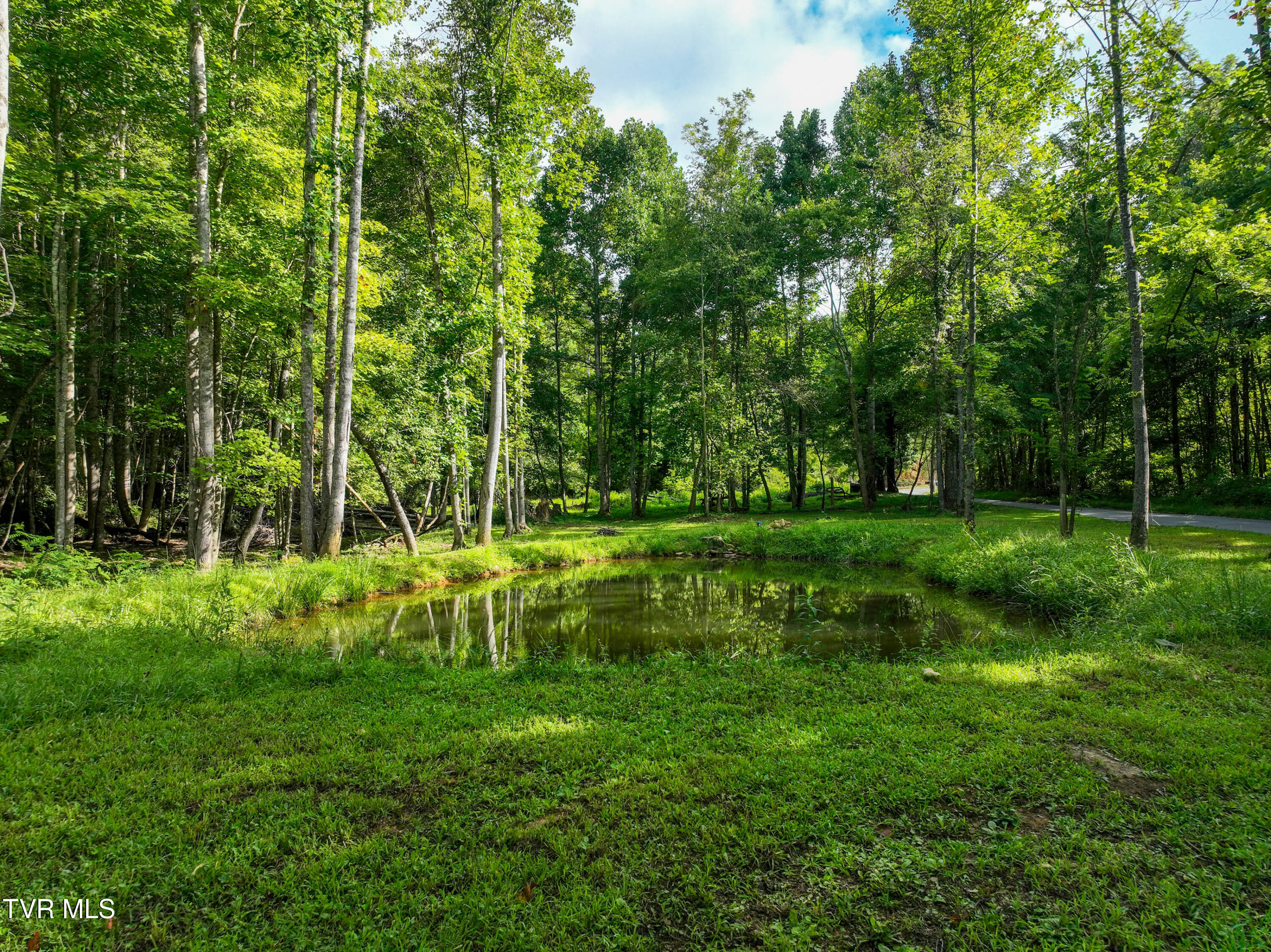 5322 Greene Mountain Road Greeneville, TN 37743 - Photo 80 of 85 5322 Greene Mtn Rd Drone LANDERS-25