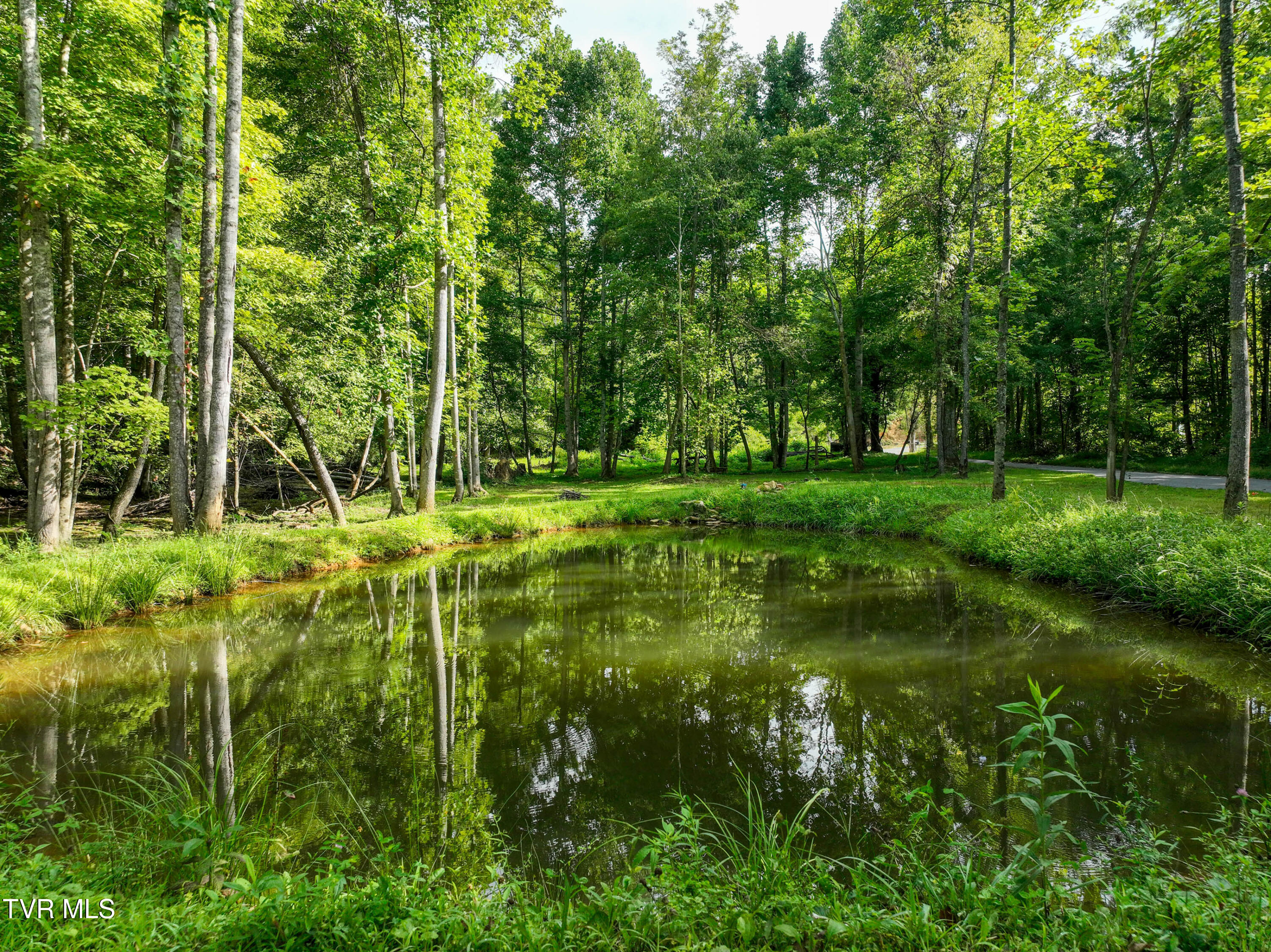 5322 Greene Mountain Road Greeneville, TN 37743 - Photo 81 of 85 5322 Greene Mtn Rd Drone LANDERS-26