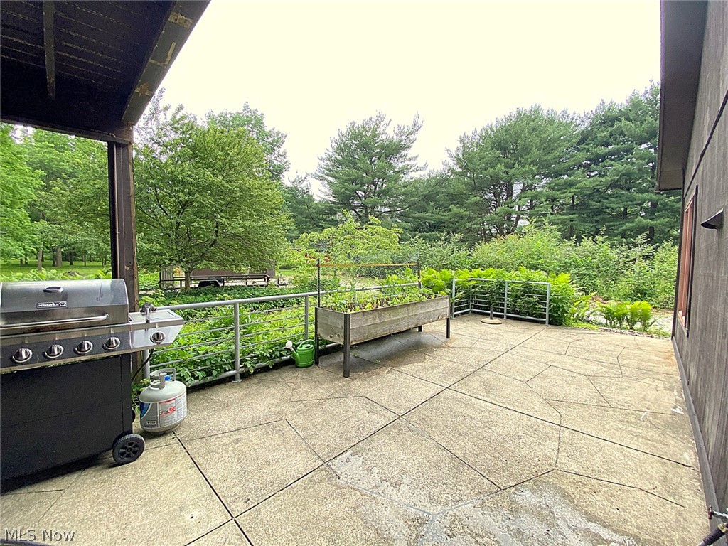 3956 Granger Road Medina, OH 44256 - Photo 32 of 34 Gallery Image 32