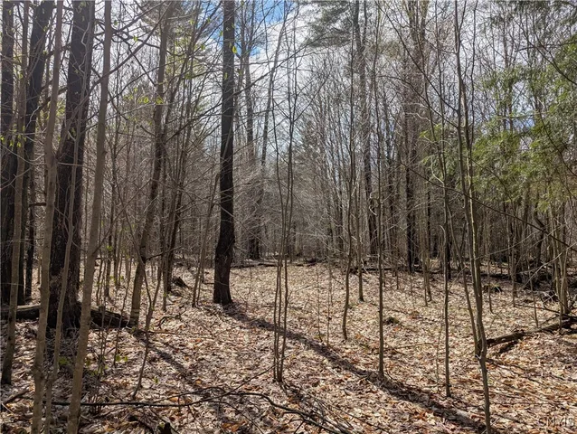 $74,900 | 7418 Pennysettlement, Lyonsdale, NY 13433