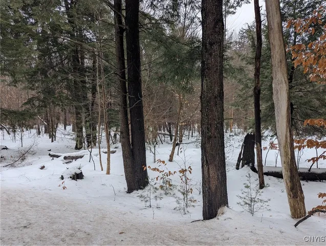 $74,900 | 7418 Pennysettlement, Lyonsdale, NY 13433