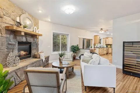 a living room with fireplace furniture and a fireplace