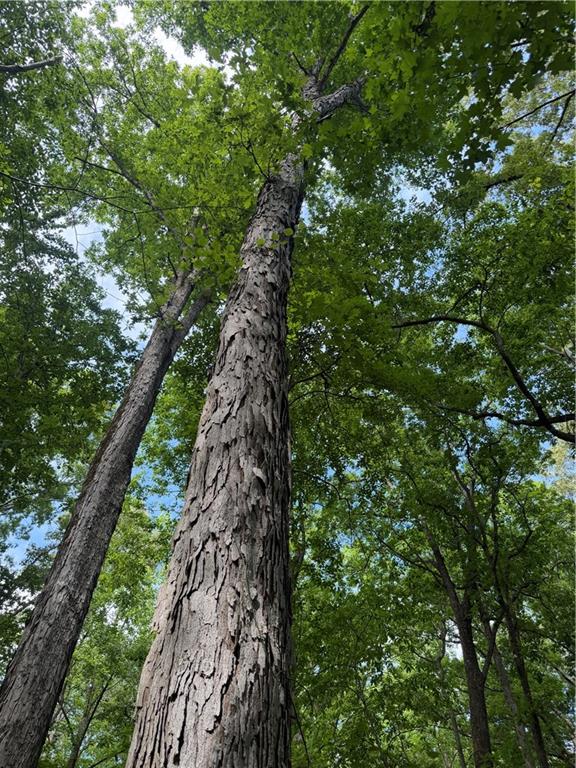 1 Melear Road Bowdon, GA 30108 - Photo 41 of 51