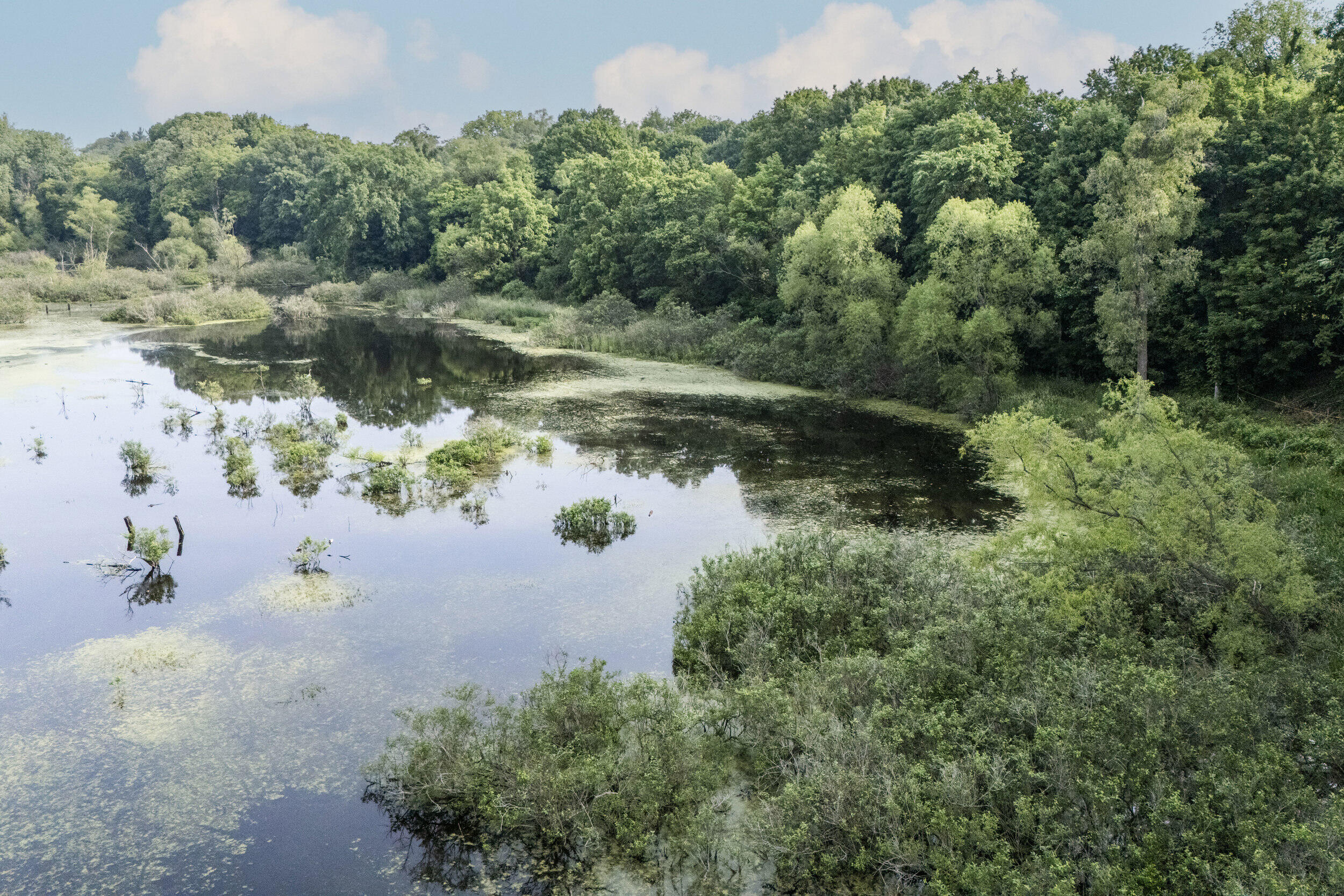 15326 Madron Lake Road Buchanan, MI 49107 - Photo 3 of 20 Waters Edge
