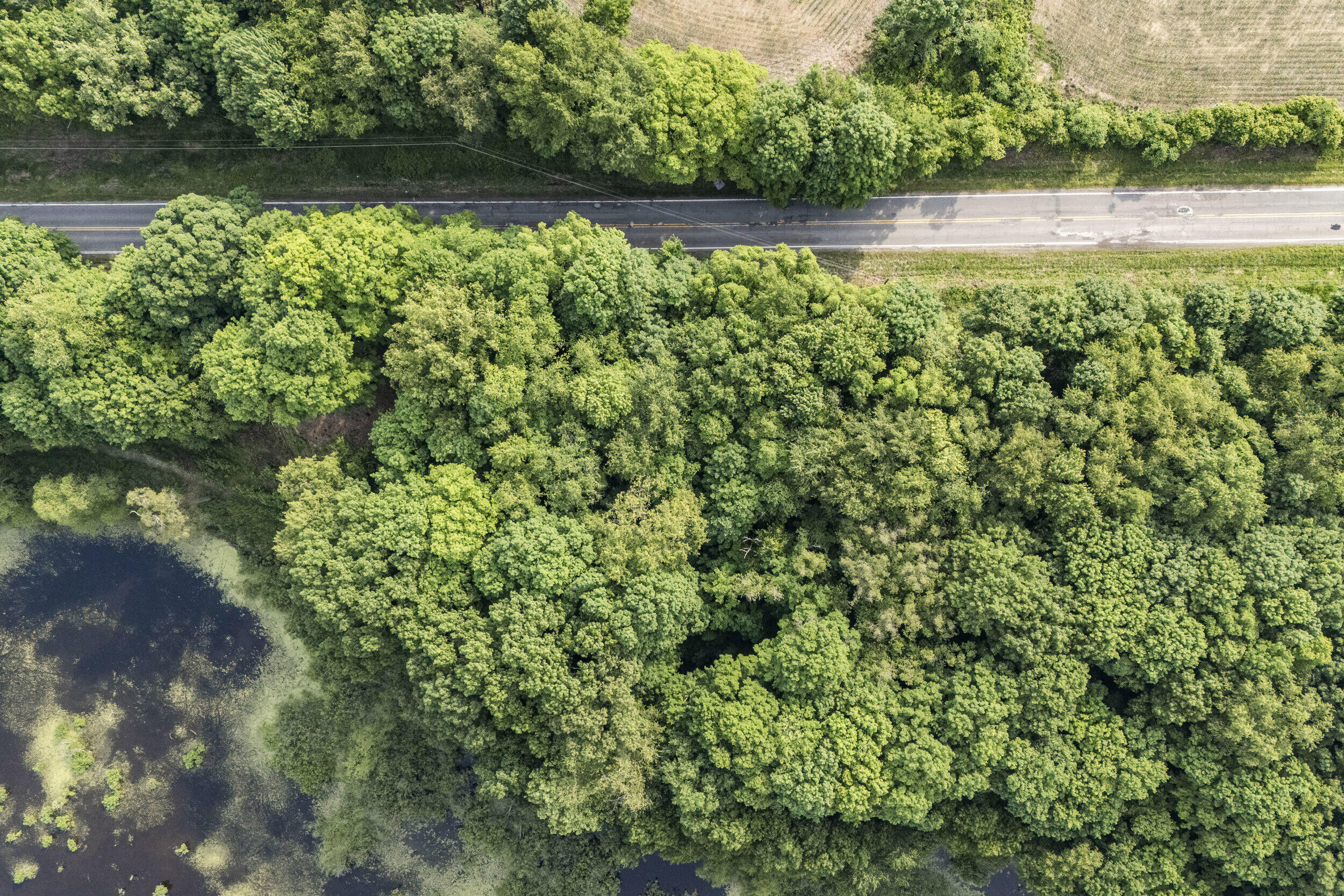 15326 Madron Lake Road Buchanan, MI 49107 - Photo 4 of 20 15326 Madron Lake Rd