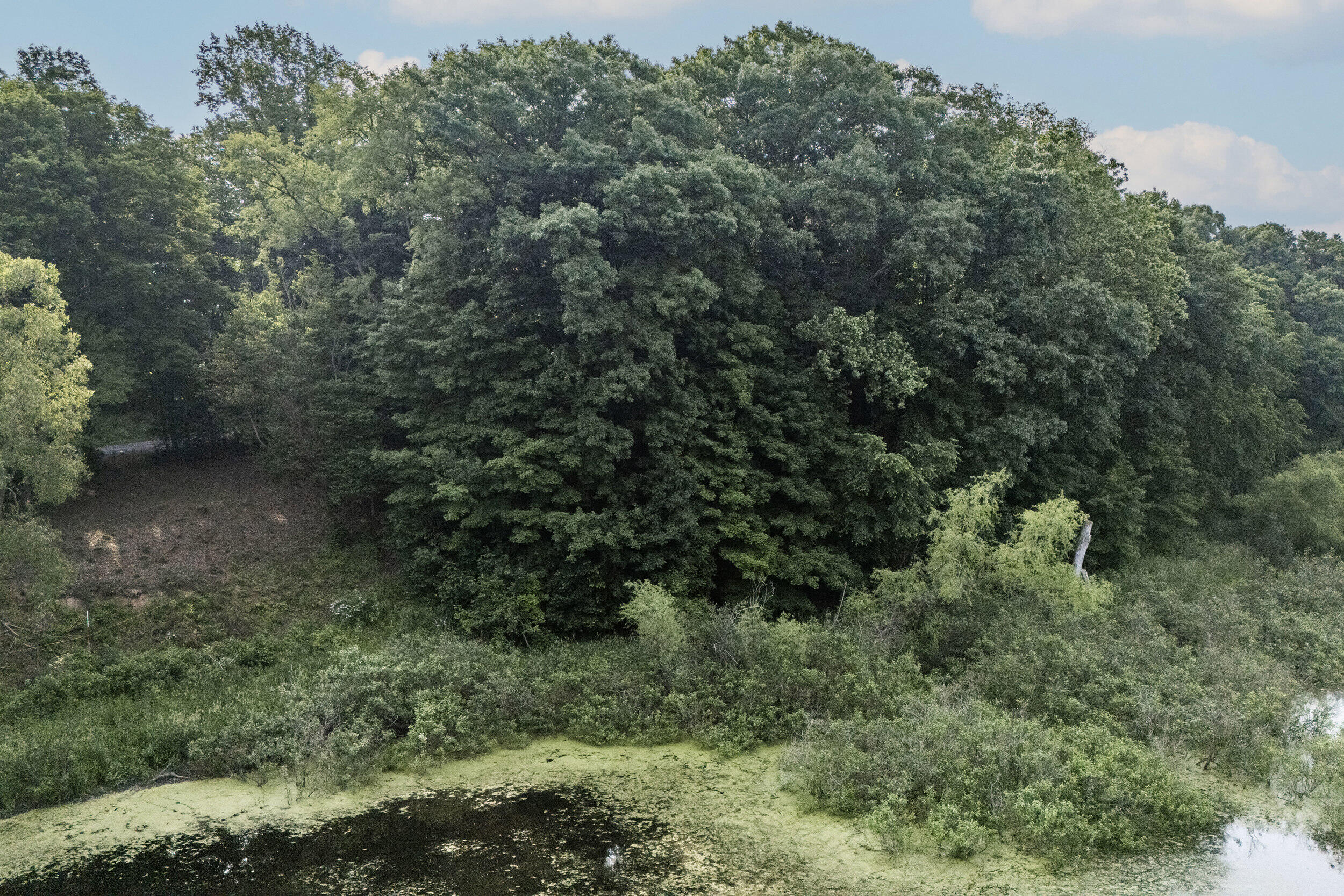 15326 Madron Lake Road Buchanan, MI 49107 - Photo 5 of 20 15326 Madron Lake Rd