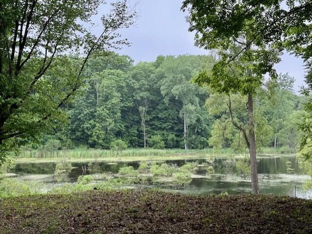 15326 Madron Lake Road Buchanan, MI 49107 - Photo 7 of 20 Water Front Views