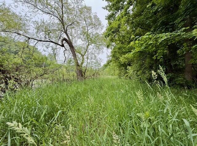 15326 Madron Lake Road Buchanan, MI 49107 - Photo 8 of 20 Alternative Drive