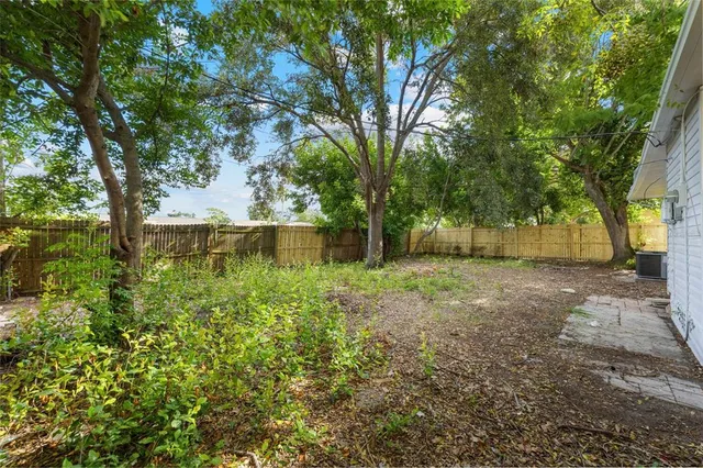 a backyard of a house with plants and large tree