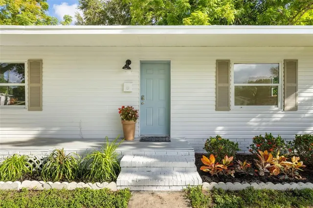 a potted plant sitting in front of a house