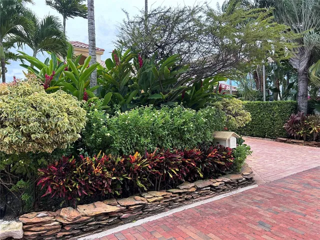 a potted plant sitting in front of a house