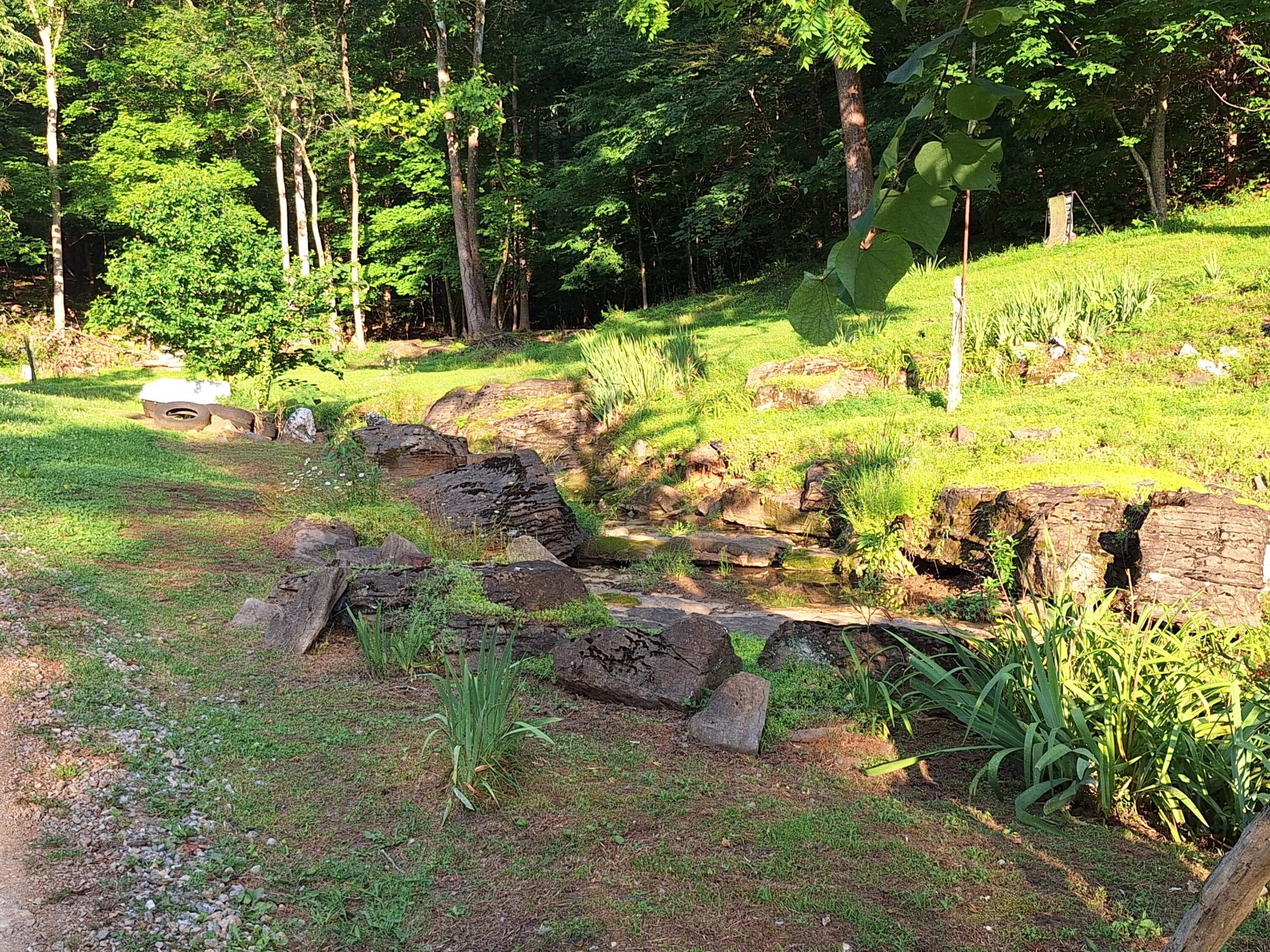 948 Wilson Station Road Englewood, TN 37329 - Photo 8 of 37