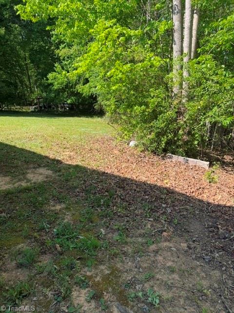 577 Piney Fork Church Road Eden, NC 27288 - Photo 4 of 12