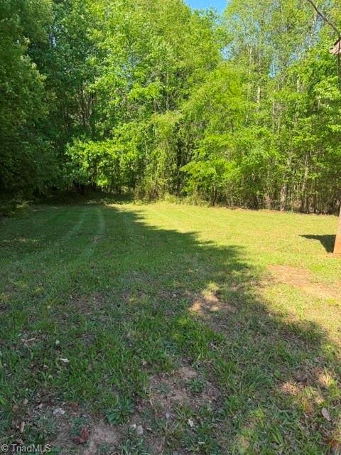 577 Piney Fork Church Road Eden, NC 27288 - Photo 6 of 12