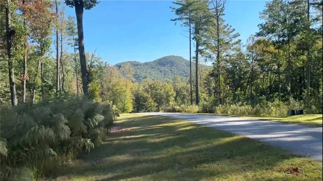 a view of a yard with plants and a trees