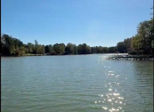 a backyard of a house with seating space