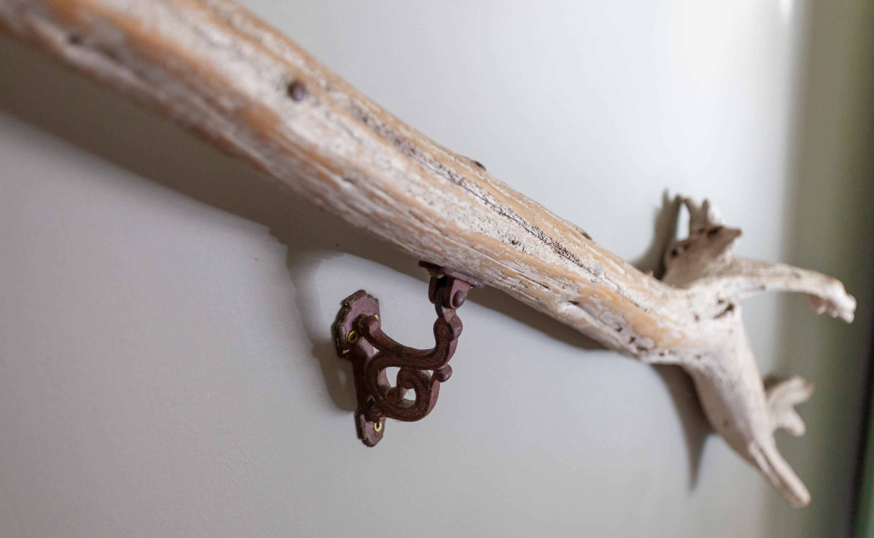 49 Cedar Beach Road Harpswell, ME 04003 - Photo 14 of 48 49-Cedar-Beach-Rd-Bailey-Island_78-PA_Pr