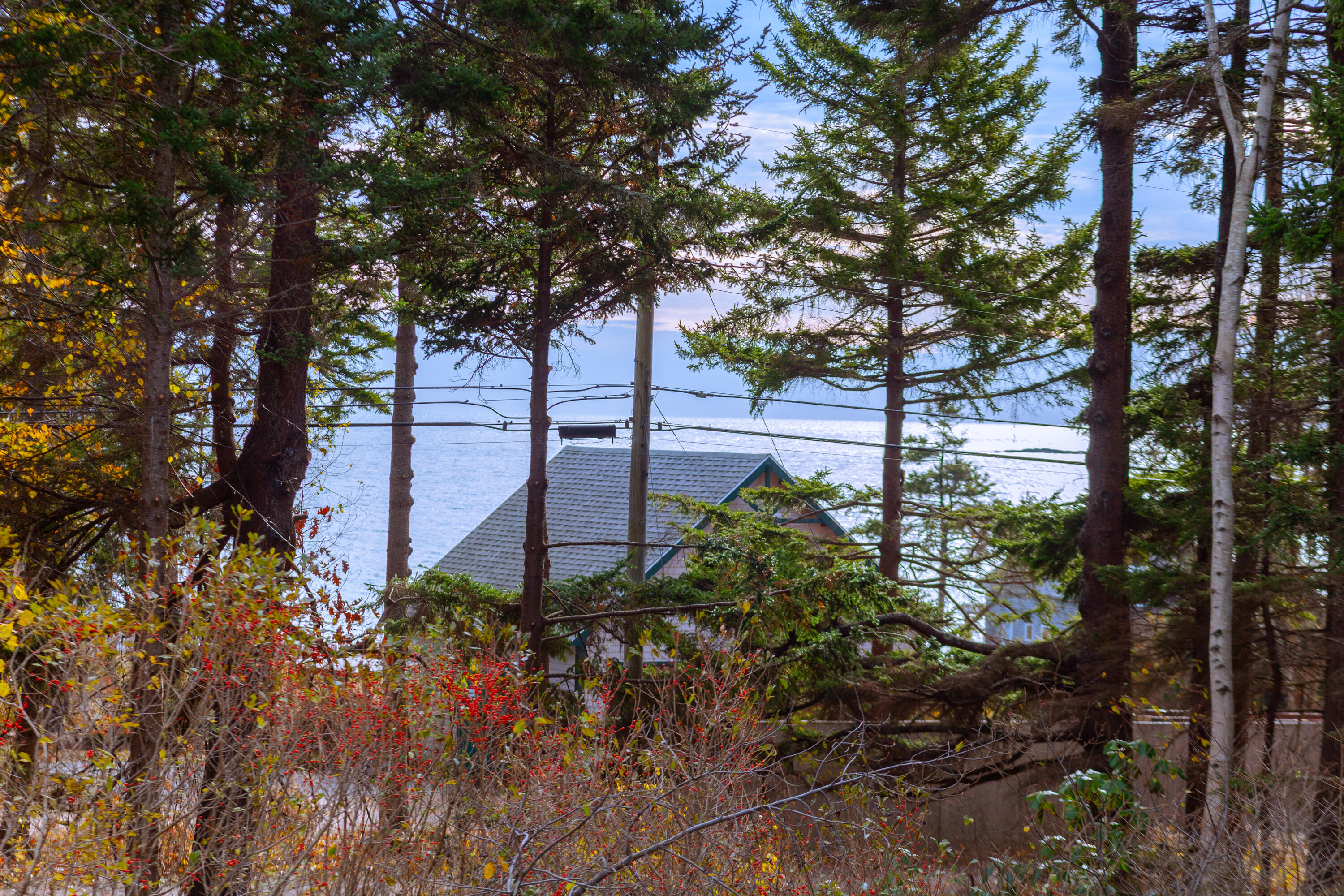 49 Cedar Beach Road Harpswell, ME 04003 - Photo 22 of 48 49-Cedar-Beach-Rd-Bailey-Island_39-PA_Pr