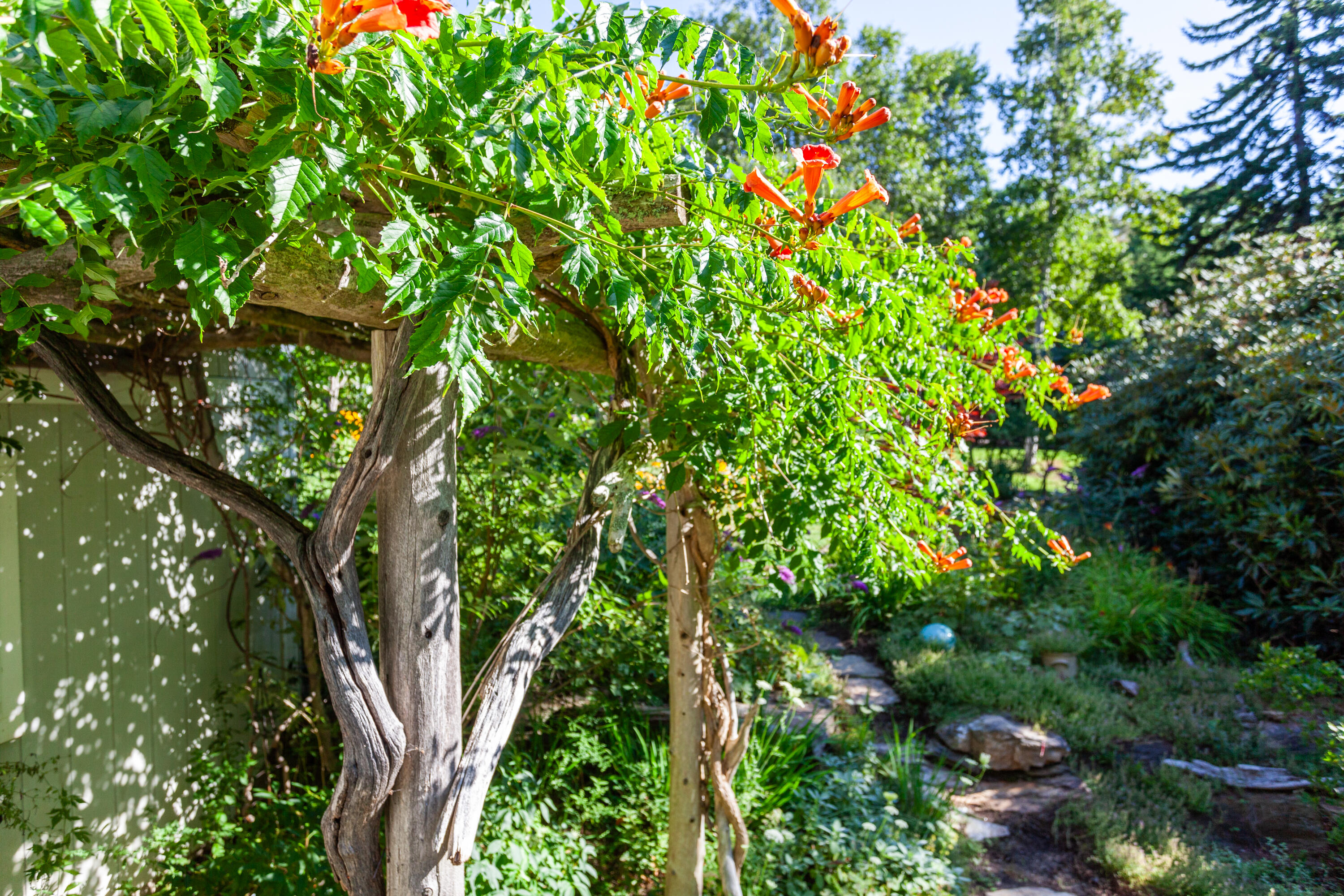 49 Cedar Beach Road Harpswell, ME 04003 - Photo 42 of 48 49-Cedar-Beach-Rd-Bailey-Island_80-PA_Pr