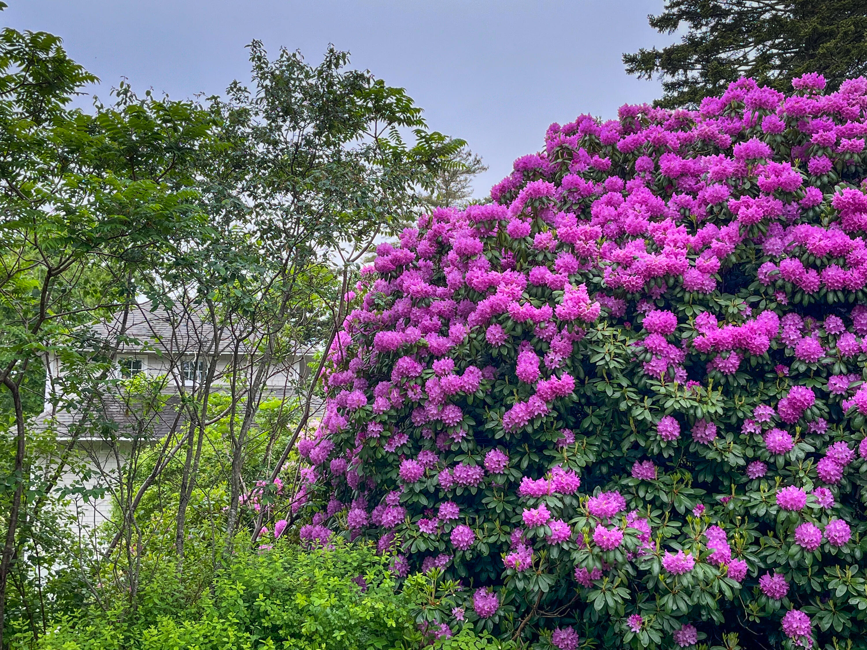 49 Cedar Beach Road Harpswell, ME 04003 - Photo 43 of 48 49-Cedar-Beach-Rd