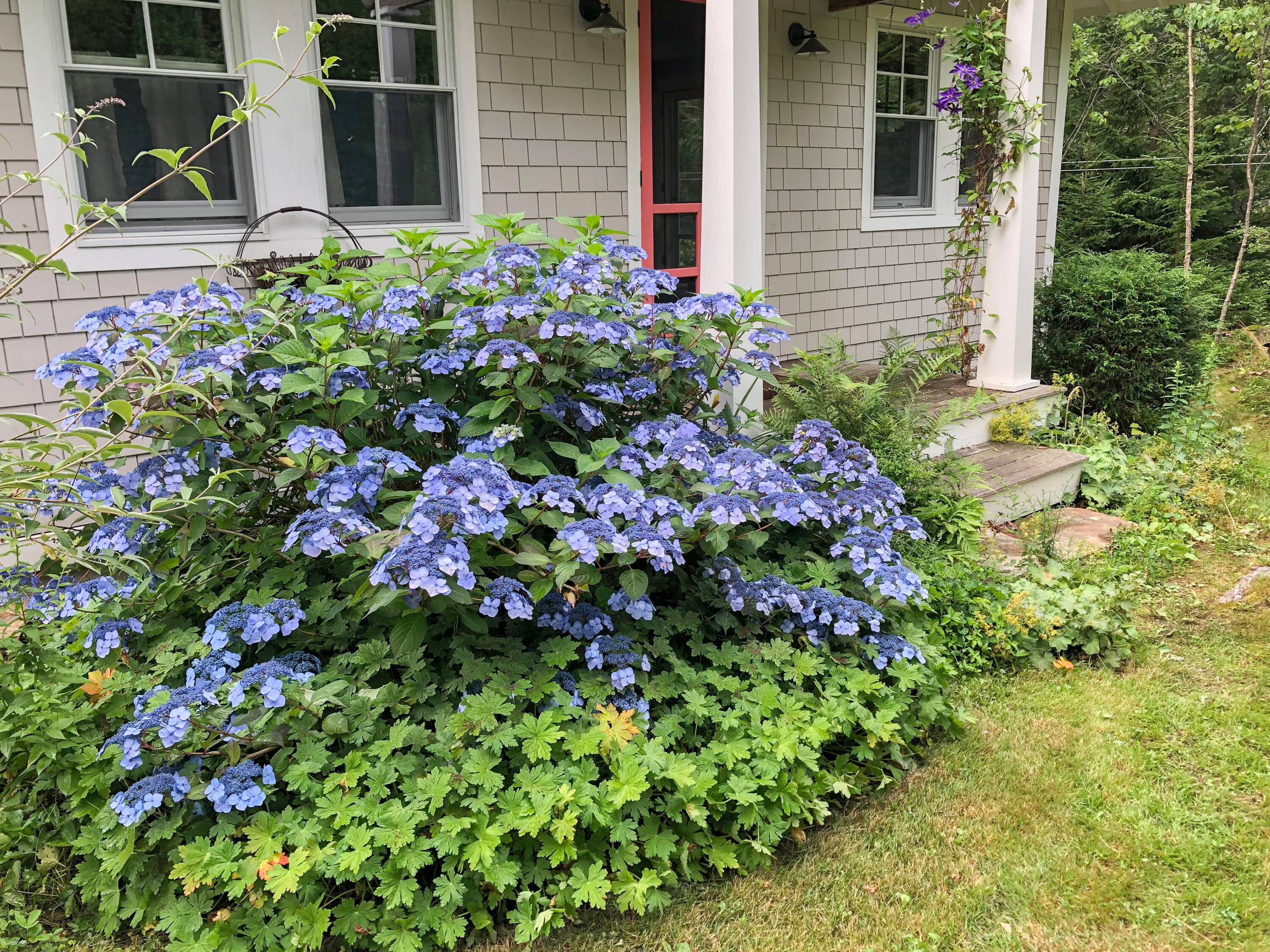 49 Cedar Beach Road Harpswell, ME 04003 - Photo 5 of 48 49-Cedar-Beach-Rd-Bailey-Island_64-PA_Pr