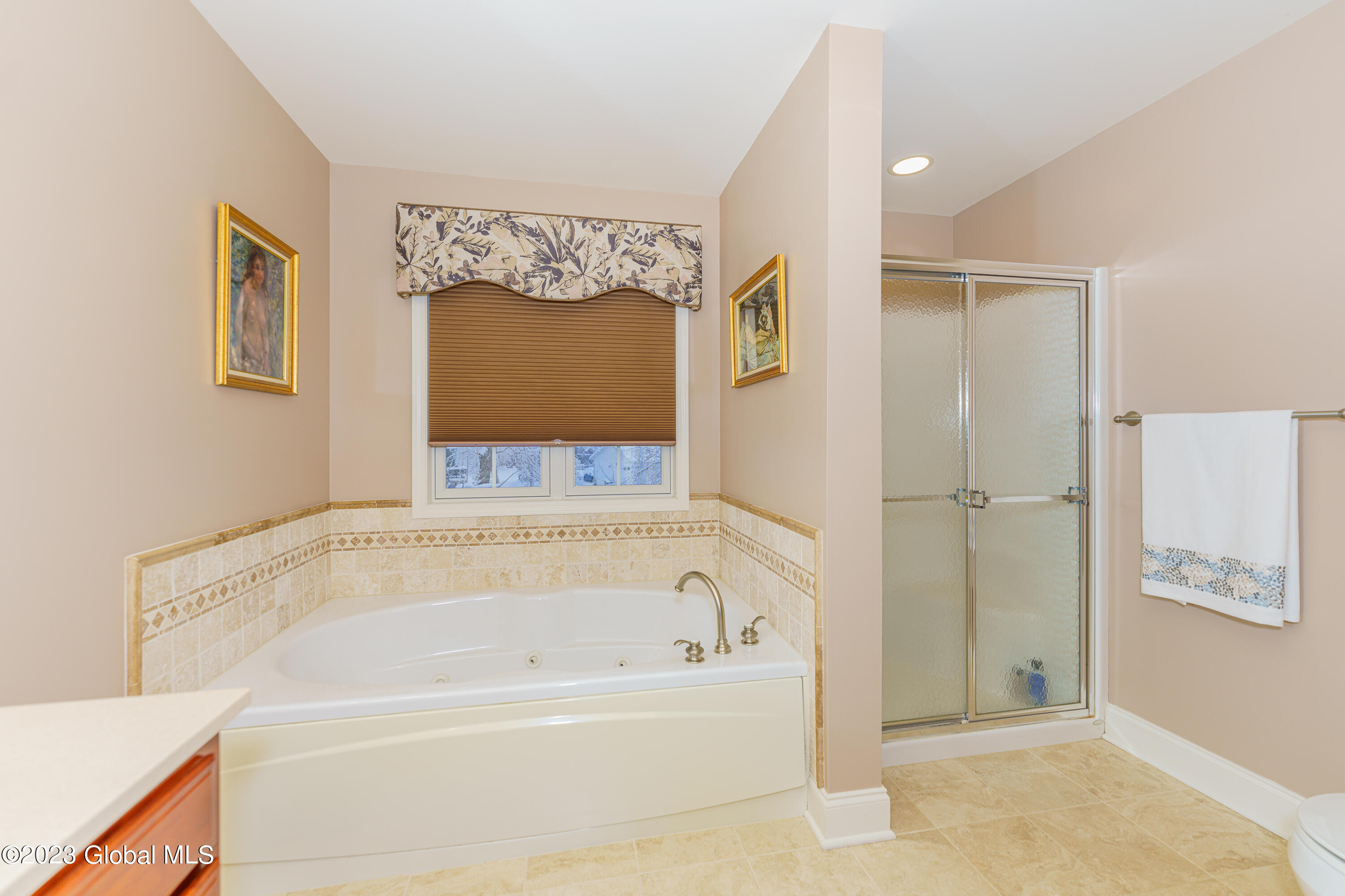 6281 Empire Avenue Guilderland, NY 12303 - Photo 10 of 24 master bath 2 empire