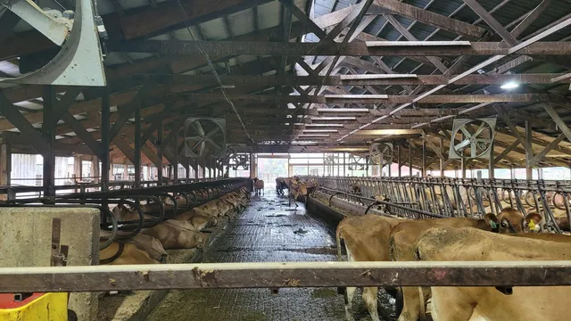 $699,900 | N7471 Buboltz Road, New London, WI 54961