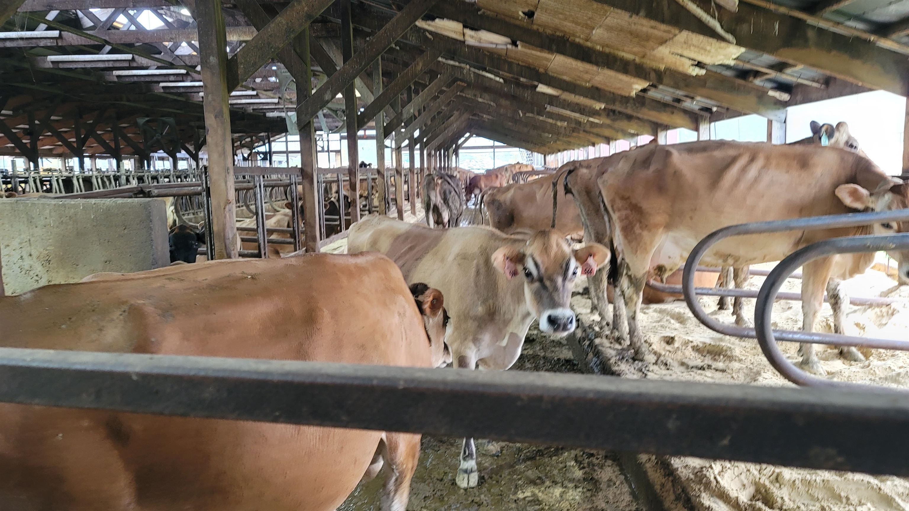 N7471 Buboltz Road New London, WI 54961 - Photo 8 of 29