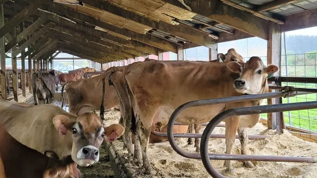 $699,900 | N7471 Buboltz Road, New London, WI 54961