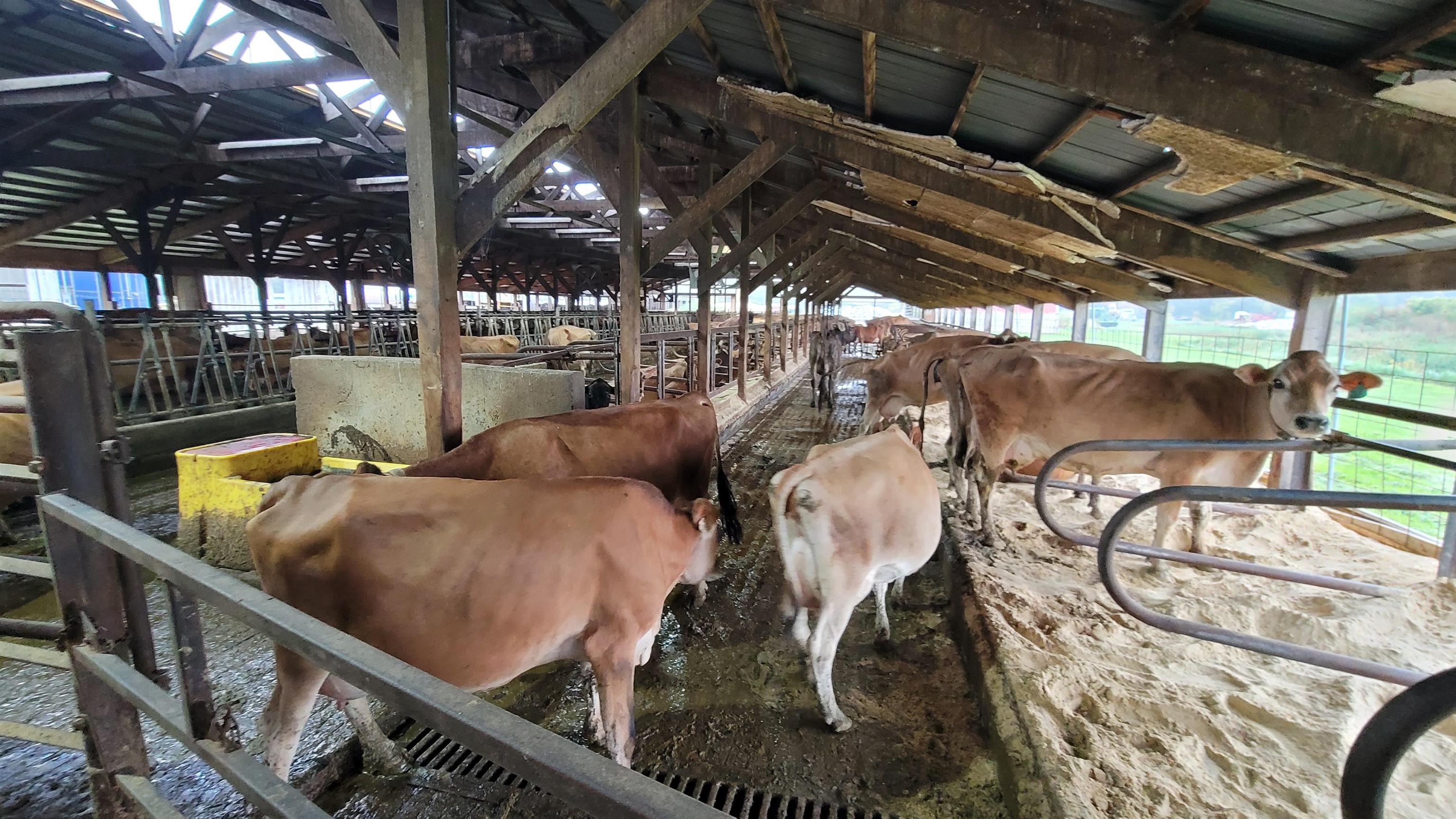 N7471 Buboltz Road New London, WI 54961 - Photo 10 of 29