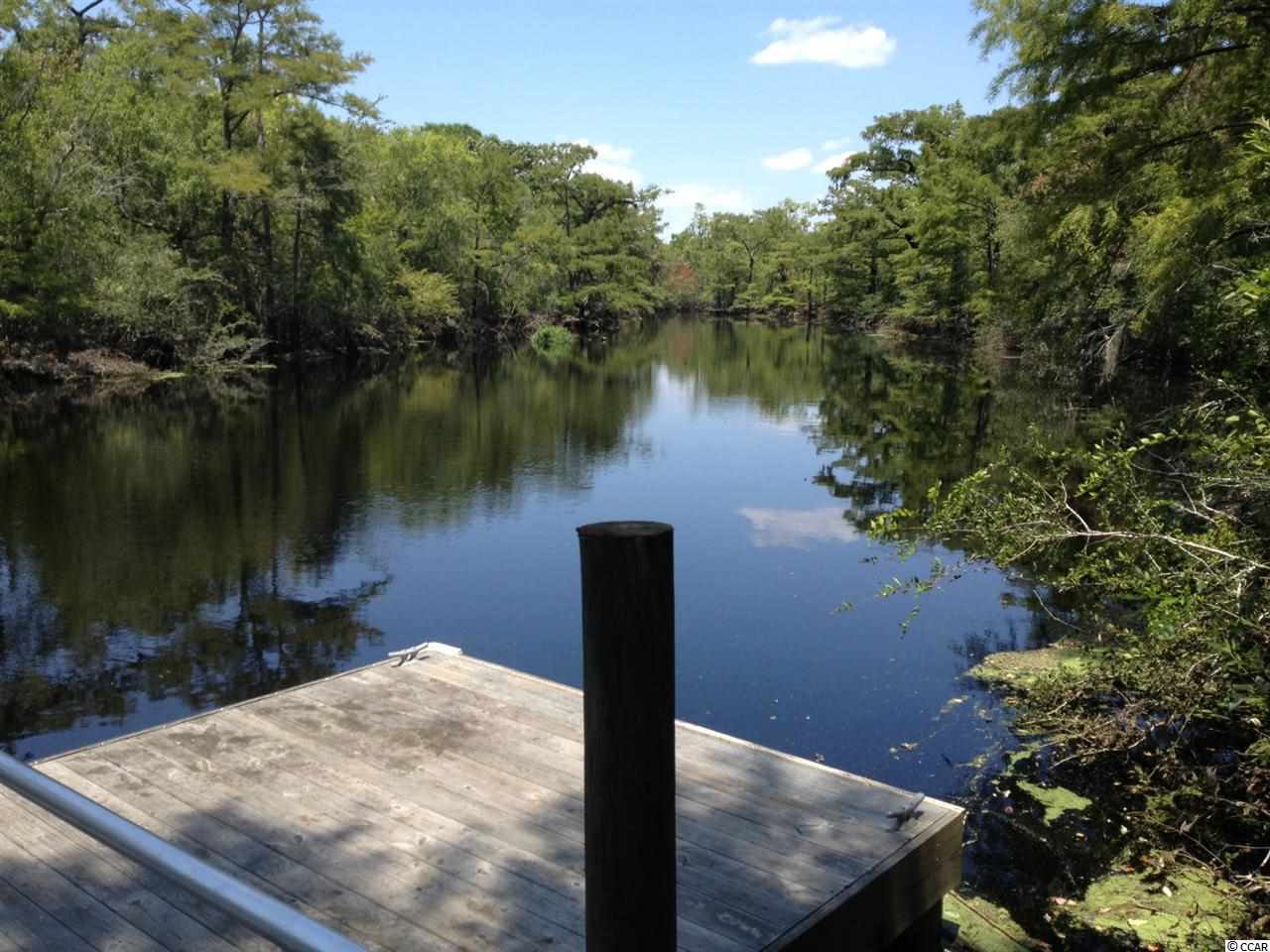 643 Beaver Pond Road Conway, SC 29526 - Photo 24 of 25 Gallery Image 24