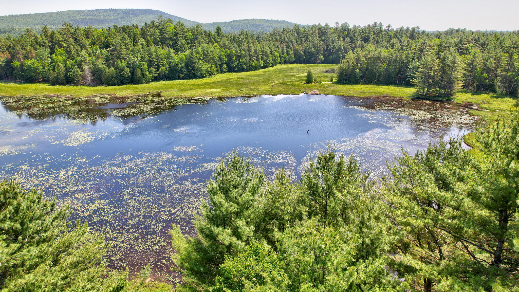 M19-l8 Church Farm Road Beddington, ME 04622 - Photo 3 of 22 dji_fly_20250624_105258_590_175077736673