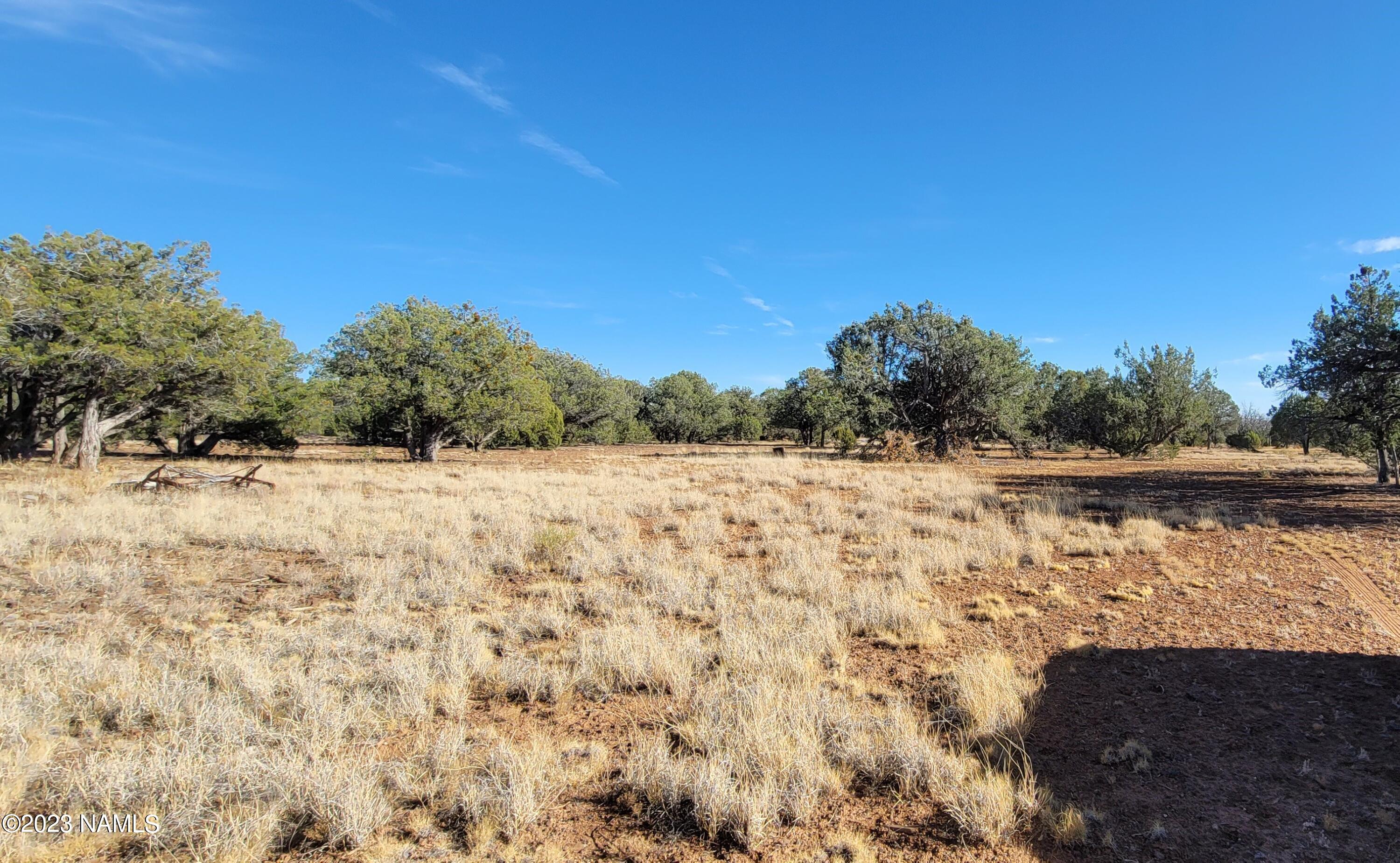 Parcel # Parcel Williams, AZ 86046 - Photo 1 of 3 Alex 4