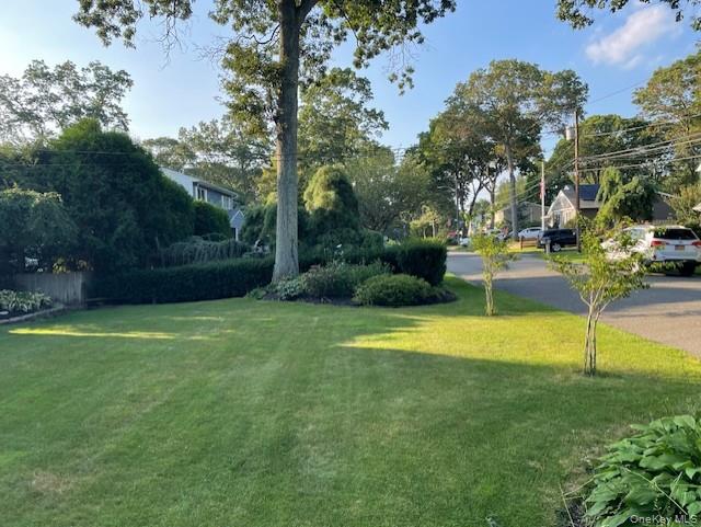 94 Clarendon Road Ronkonkoma, NY 11779 - Photo 29 of 31 a view of a backyard with swimming pool
