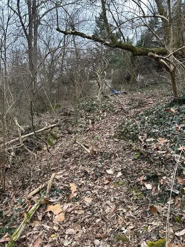 $249,000 | 1007 Evanwood Drive, Lookout Mountain, TN 37350