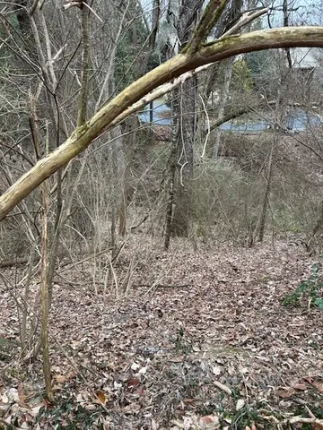 $249,000 | 1007 Evanwood Drive, Lookout Mountain, TN 37350