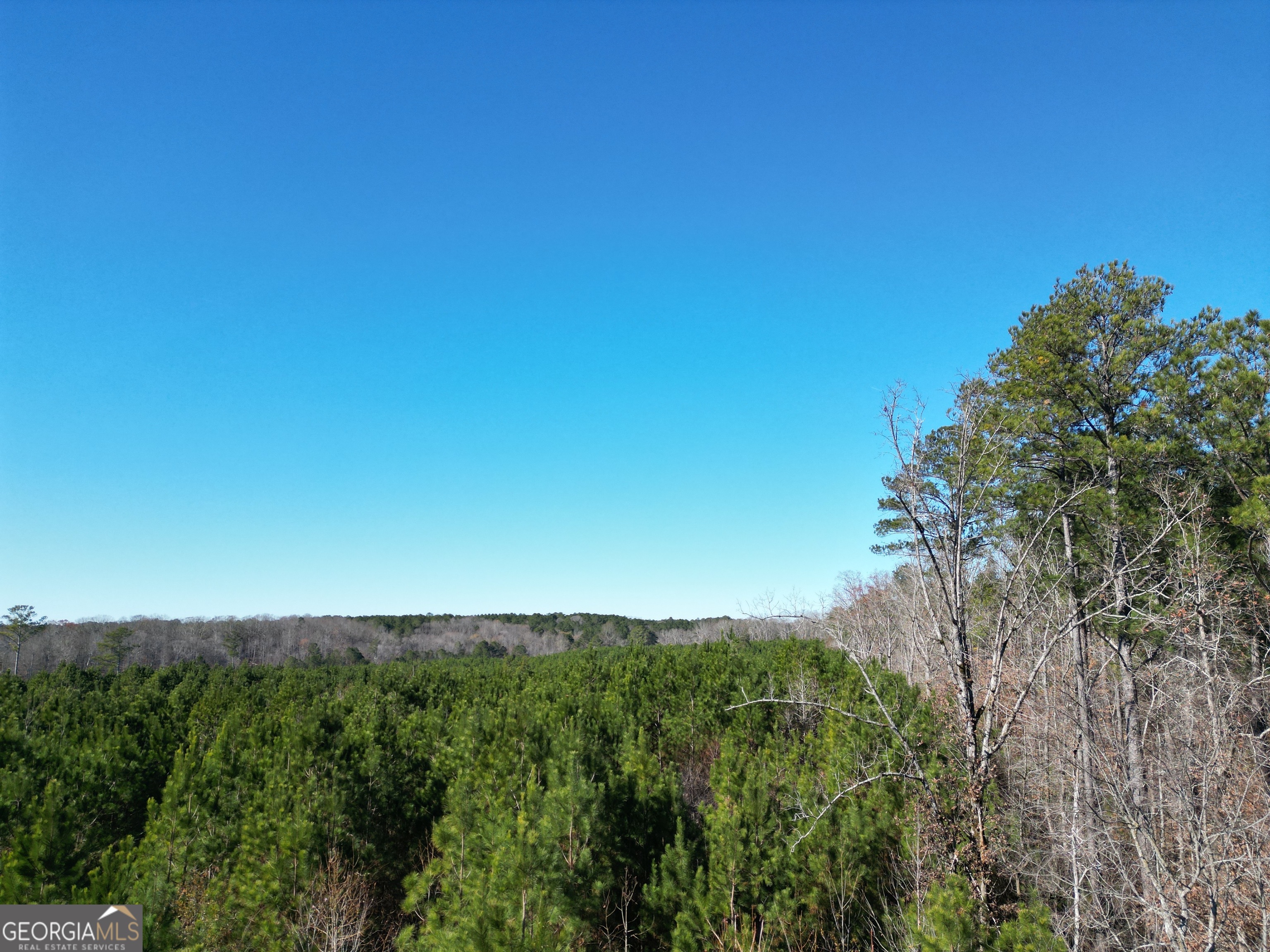 0 Jaudon Road, Unit 30 03 ACRE LOT) Elberton, GA 30635 - Photo 3 of 4