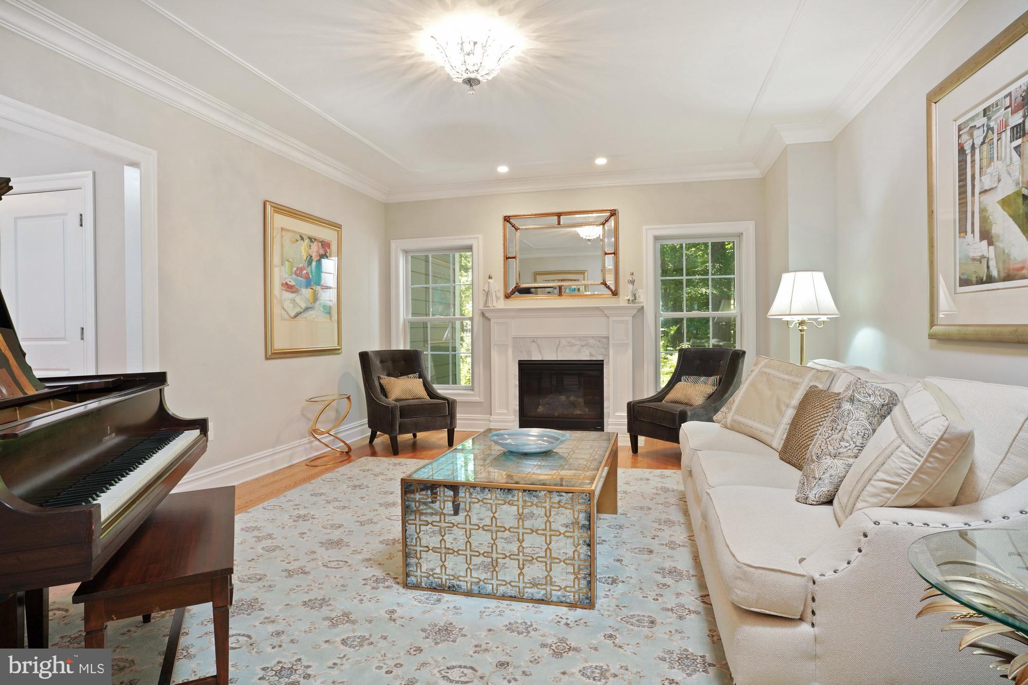 145 Ridgeview Circle Princeton, NJ 08540 - Photo 3 of 41 Living room with gas fireplace.