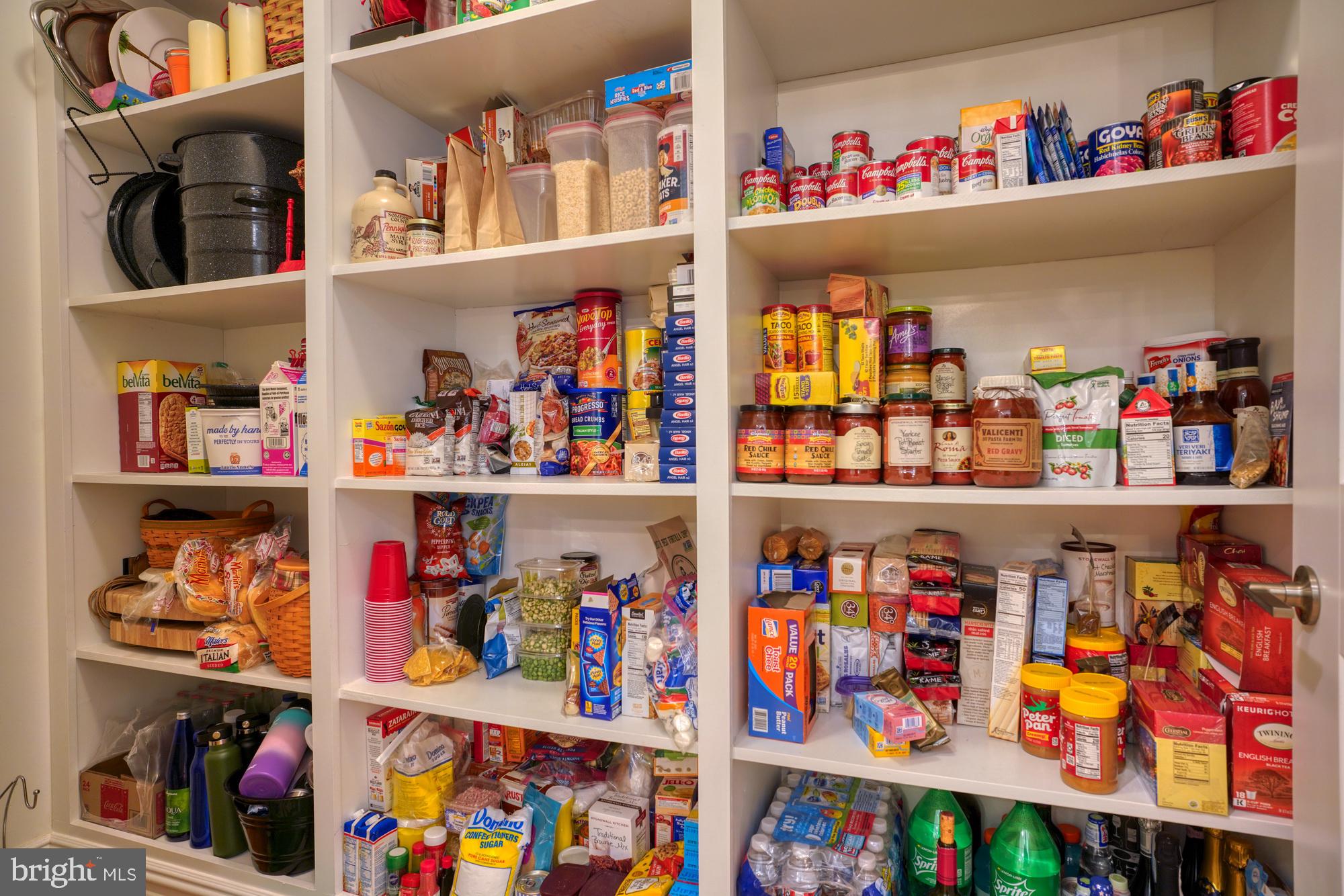 145 Ridgeview Circle Princeton, NJ 08540 - Photo 10 of 41 Walk-in pantry.