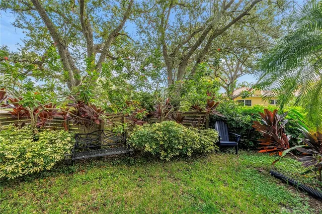 a view of a park with large trees