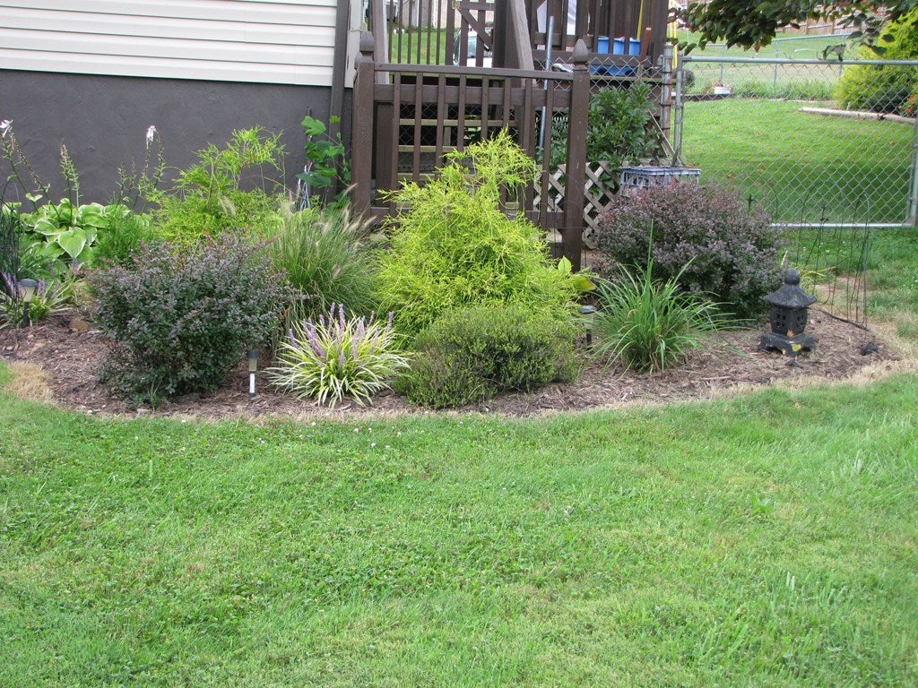 317 Fox Fire Road Max Meadows, VA 24360 - Photo 20 of 24 Gallery Image 20