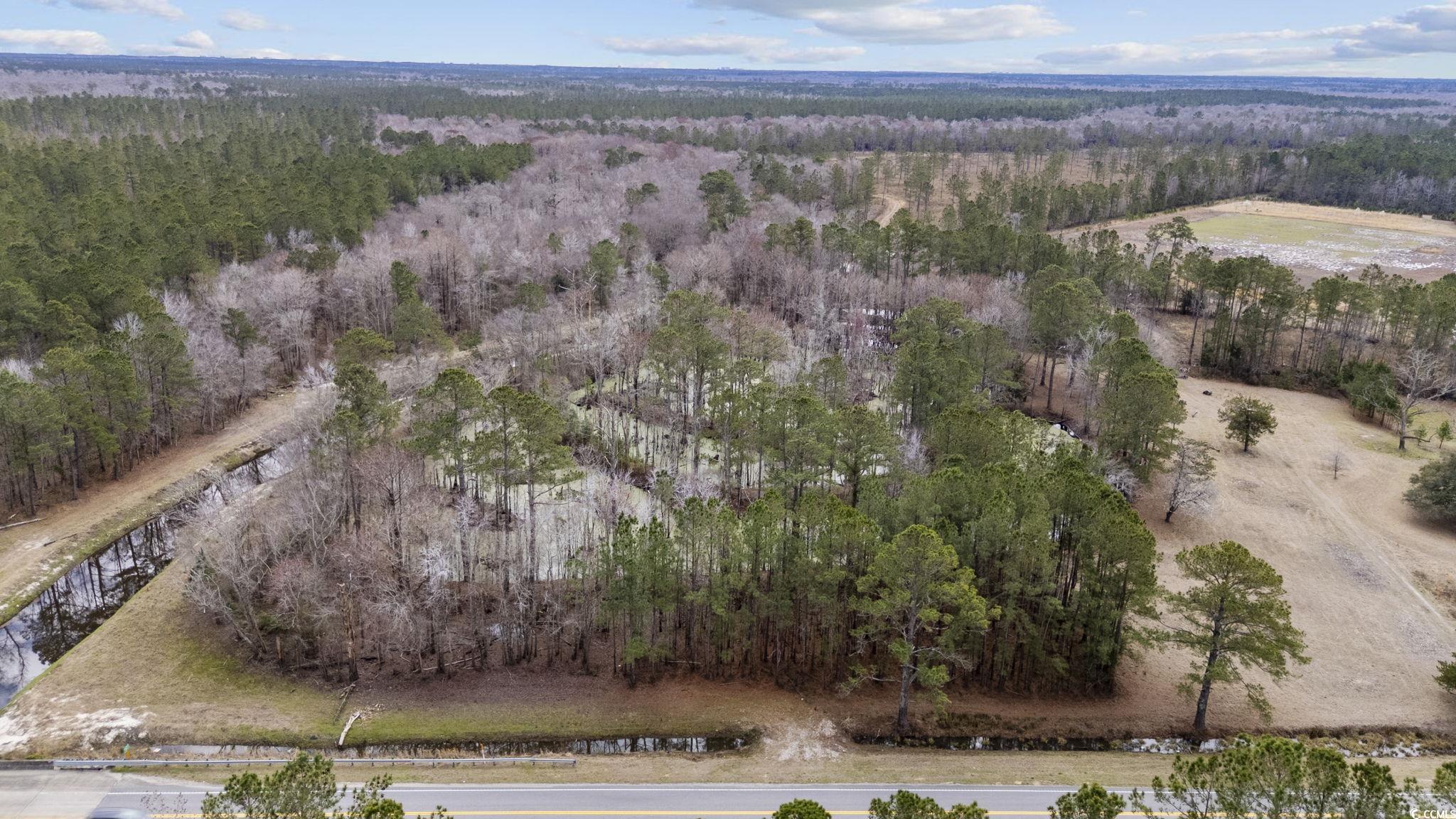 8224 Highway 905 Longs, SC 29568 - Photo 13 of 14 Drone / aerial view with a forest view