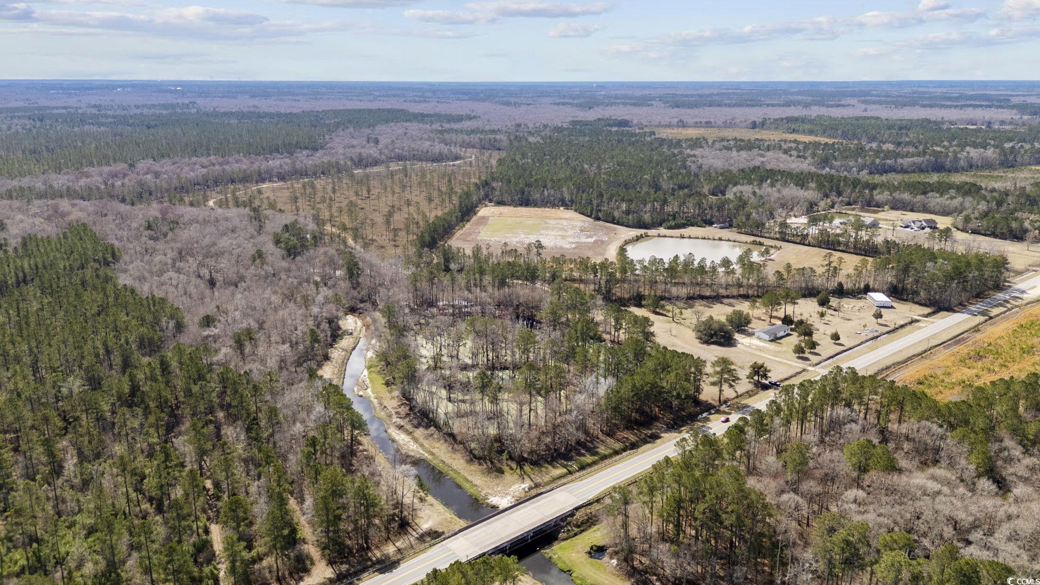 8224 Highway 905 Longs, SC 29568 - Photo 3 of 14 Aerial view featuring a view of trees